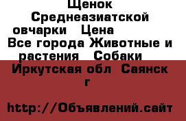 Щенок Среднеазиатской овчарки › Цена ­ 35 000 - Все города Животные и растения » Собаки   . Иркутская обл.,Саянск г.